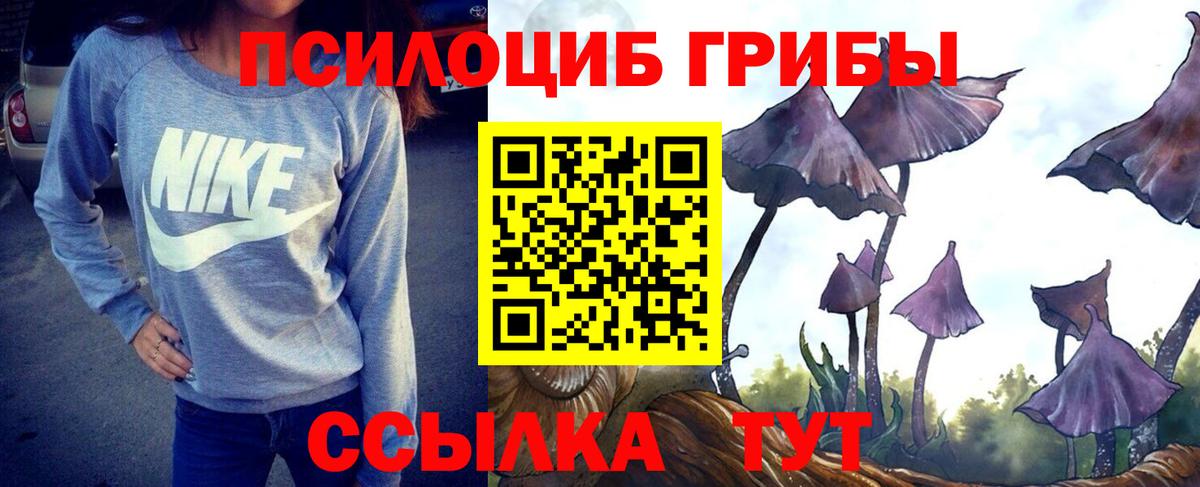 Псилоцибиновые грибы GOLDEN TEACHER Карачаевск