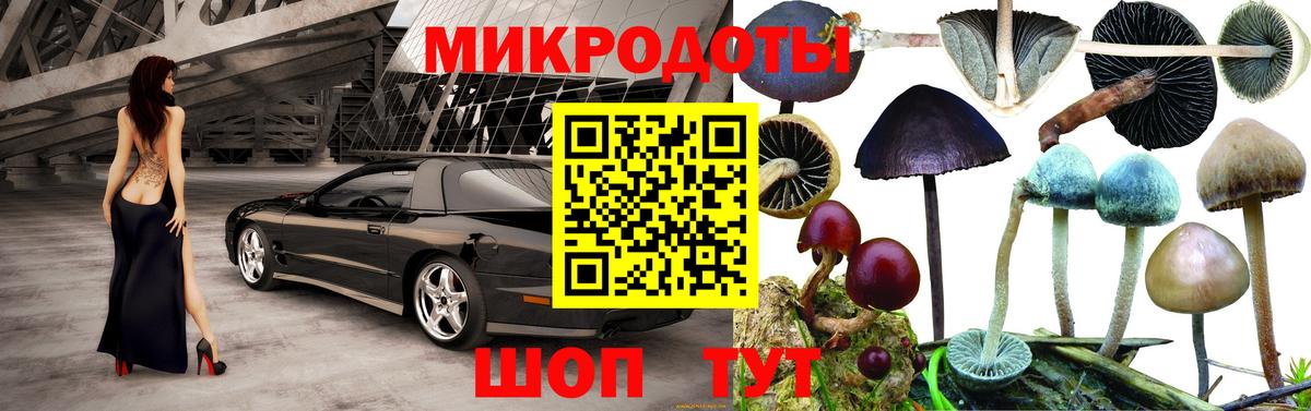 Галлюциногенные грибы мицелий  Галлюциногенные грибы мухоморы  Карачаевск  как найти закладки  Вход с VPN 
